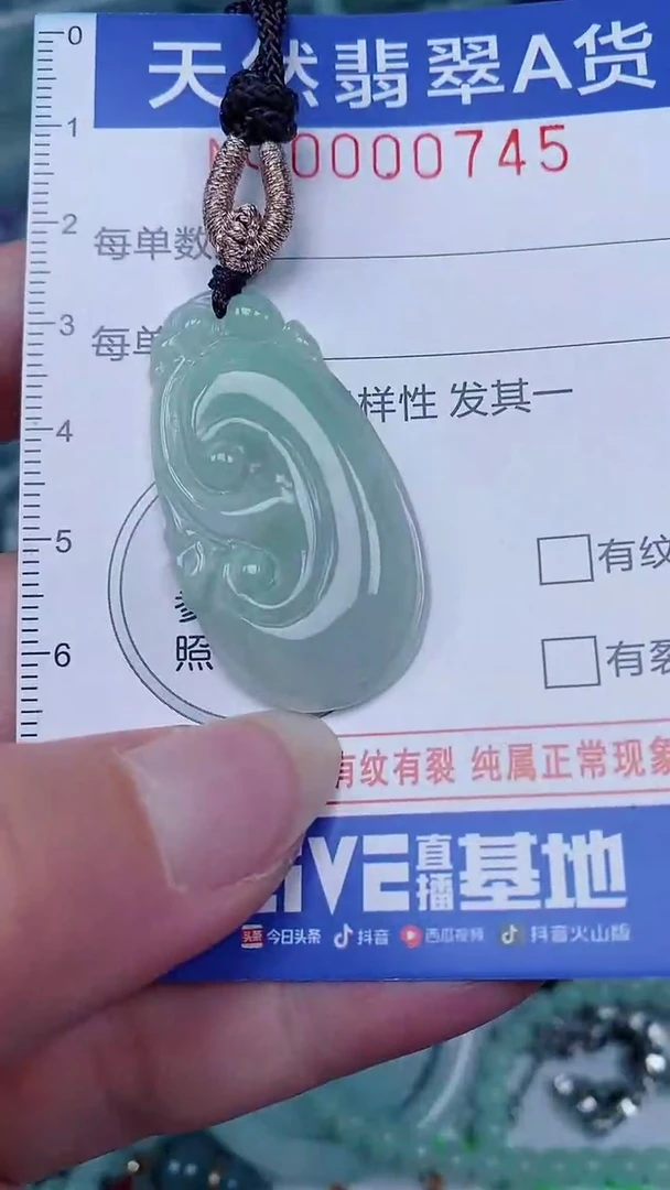 翡翠未镶嵌颈饰00000745