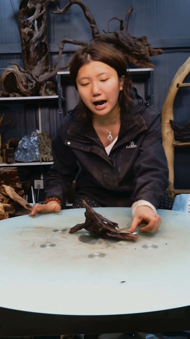 木237清香阁清香阁清香阁