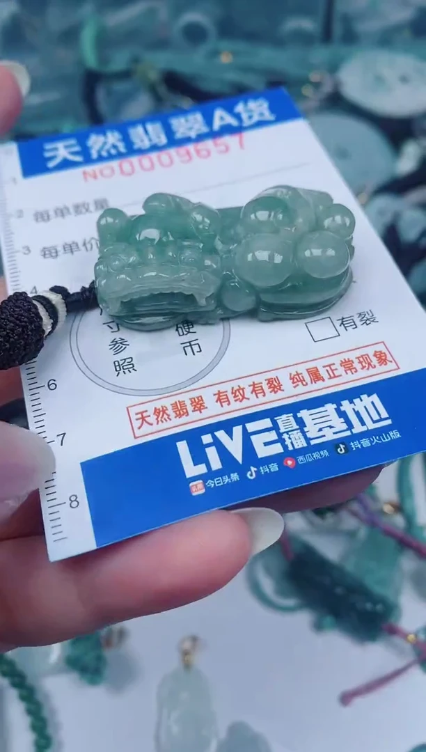 颈饰未镶嵌翡翠00009657