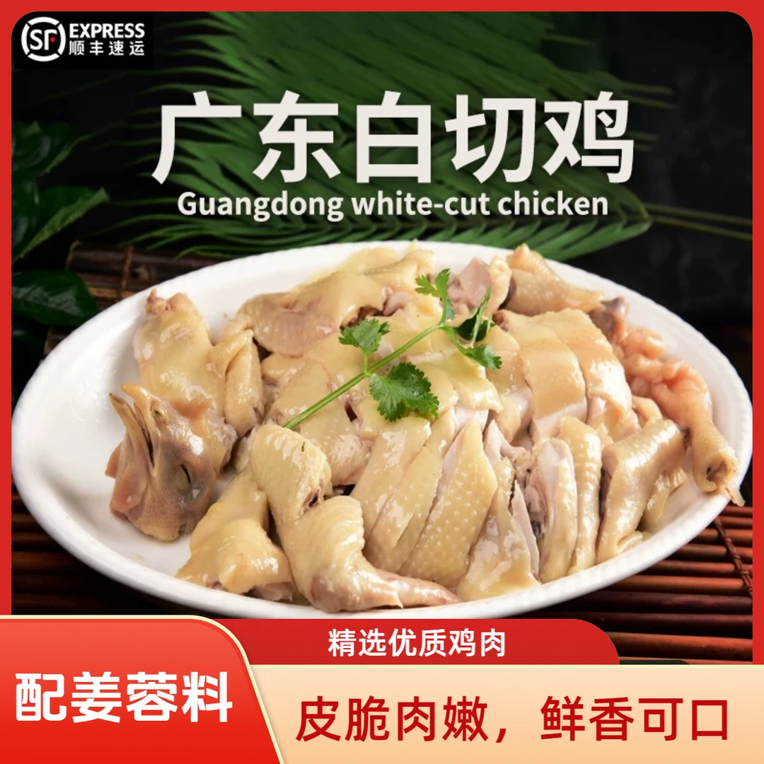 广东白切鸡整只嫩滑白斩鸡即食手撕加热整只熟食广东特产散养土鸡