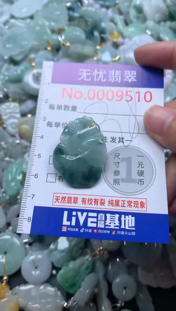 颈饰未镶嵌翡翠9510