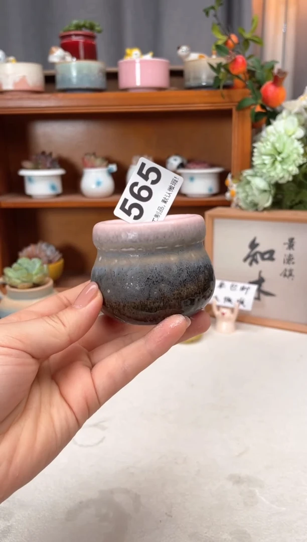瓷片565小芳花盆直播编号