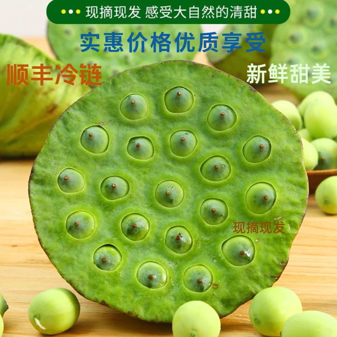 【顺丰冷链包邮】湖南现摘水果莲蓬莲子新鲜清甜莲米生莲子生吃清甜