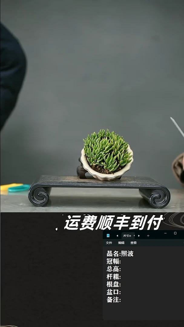 【闪购商品】9 照波