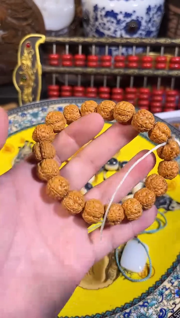 黄杨木11111111111111