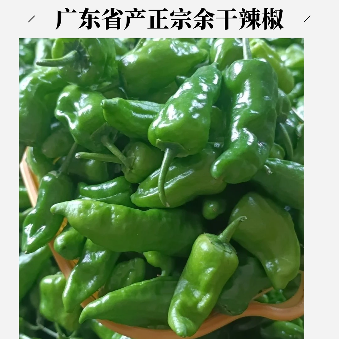 特辣新鲜正品辣椒正宗余干辣椒现摘现卖爆辣薄皮子弹头小青椒包邮