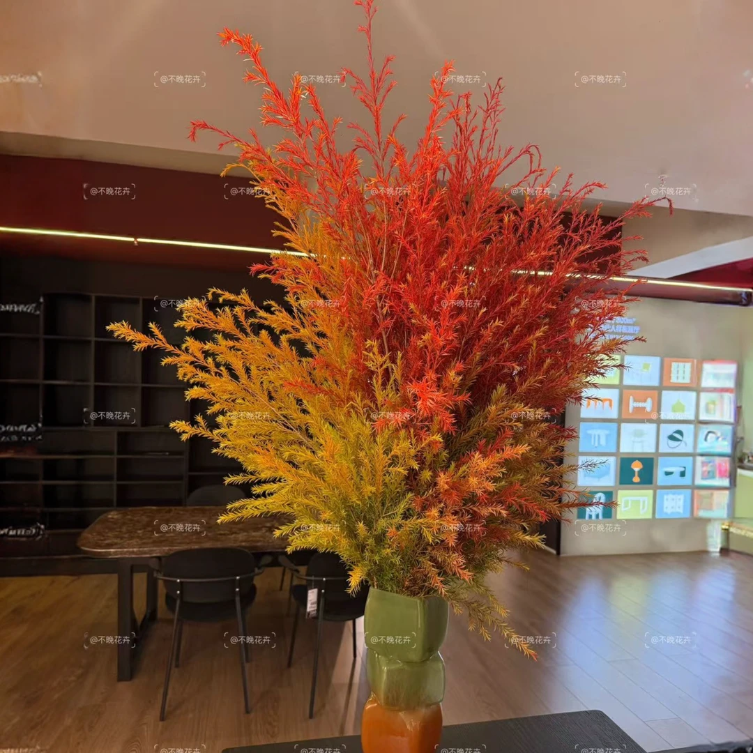千层金室内绿植鲜切水培植物季节黄金香柳千层金软装香味可做干花