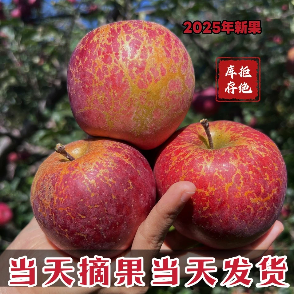 【正宗大凉山盐源丑苹果】高山现摘现发脆甜多汁新鲜水果（AAA）