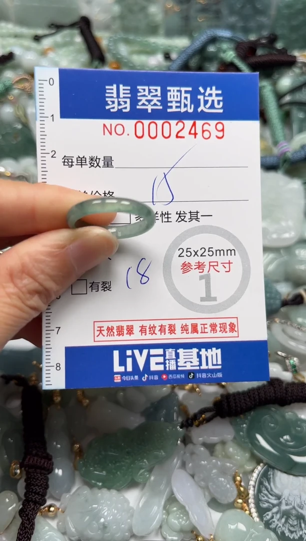 【闪购商品】翡翠颈饰未镶嵌00..2469