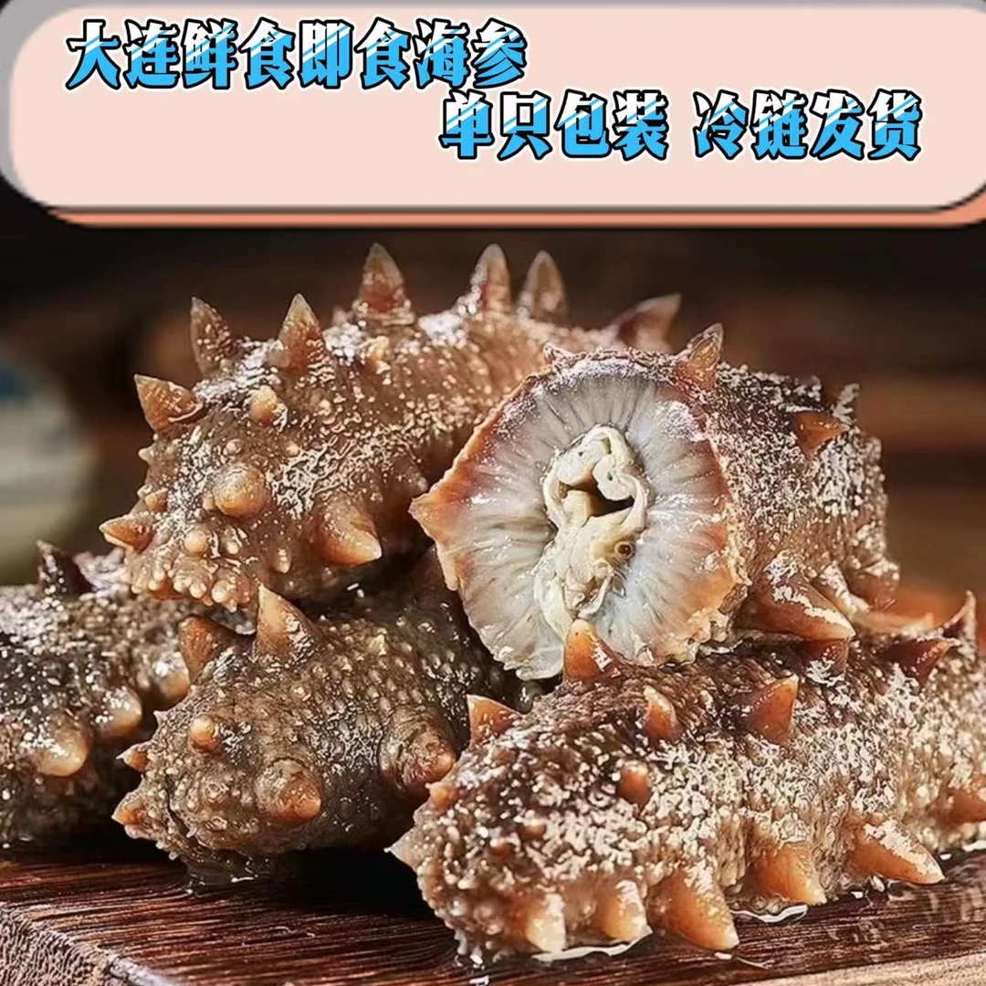 【买60根送21根】鲜食即食中大连工厂海参肉厚刺参秋参