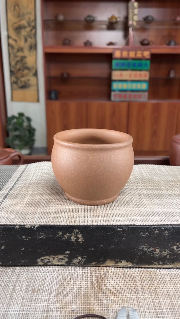 茶杯紫砂五彩段泥主人缸杯光杯泡沫装