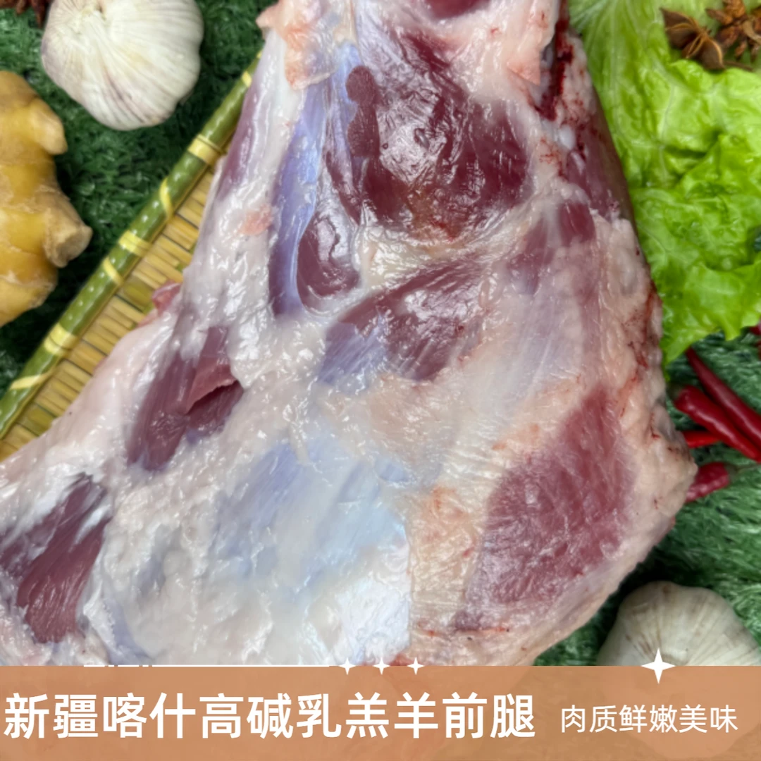 【巴郎鲜羊】新疆喀什高碱乳羔羊活羊现宰鲜羊前腿5斤