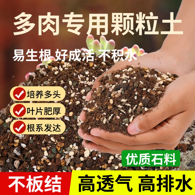 多肉营养土专用颗粒土栽培土进口泥炭种植土壤叶插花土纯铺面彩石