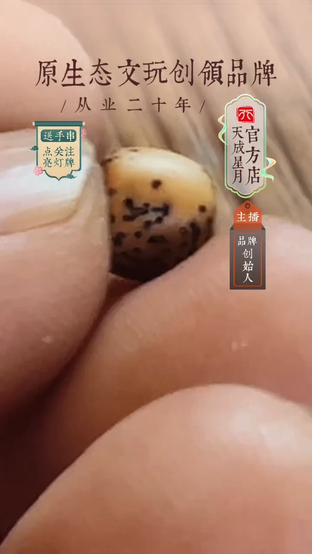 来****️7x5mm 新粉福利单圈