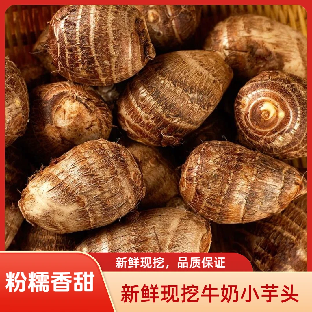 云南新鲜毛芋头软糯香甜牛奶小芋头香芋头芋艿当季蔬菜农家自种