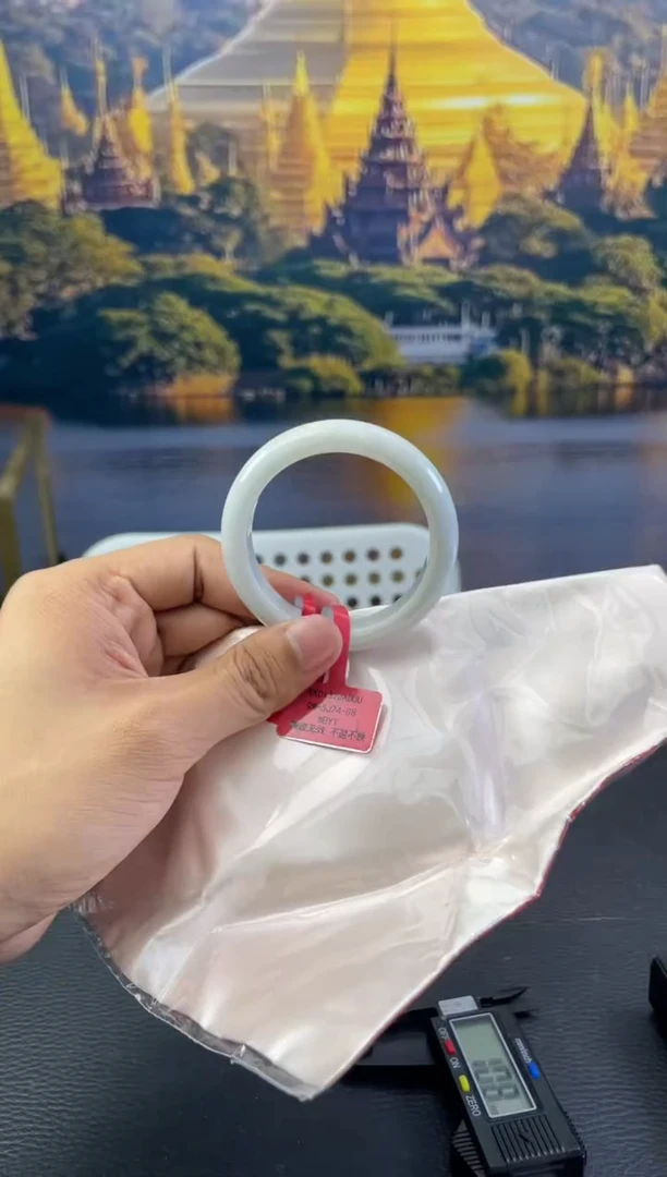 未镶嵌手镯翡翠8