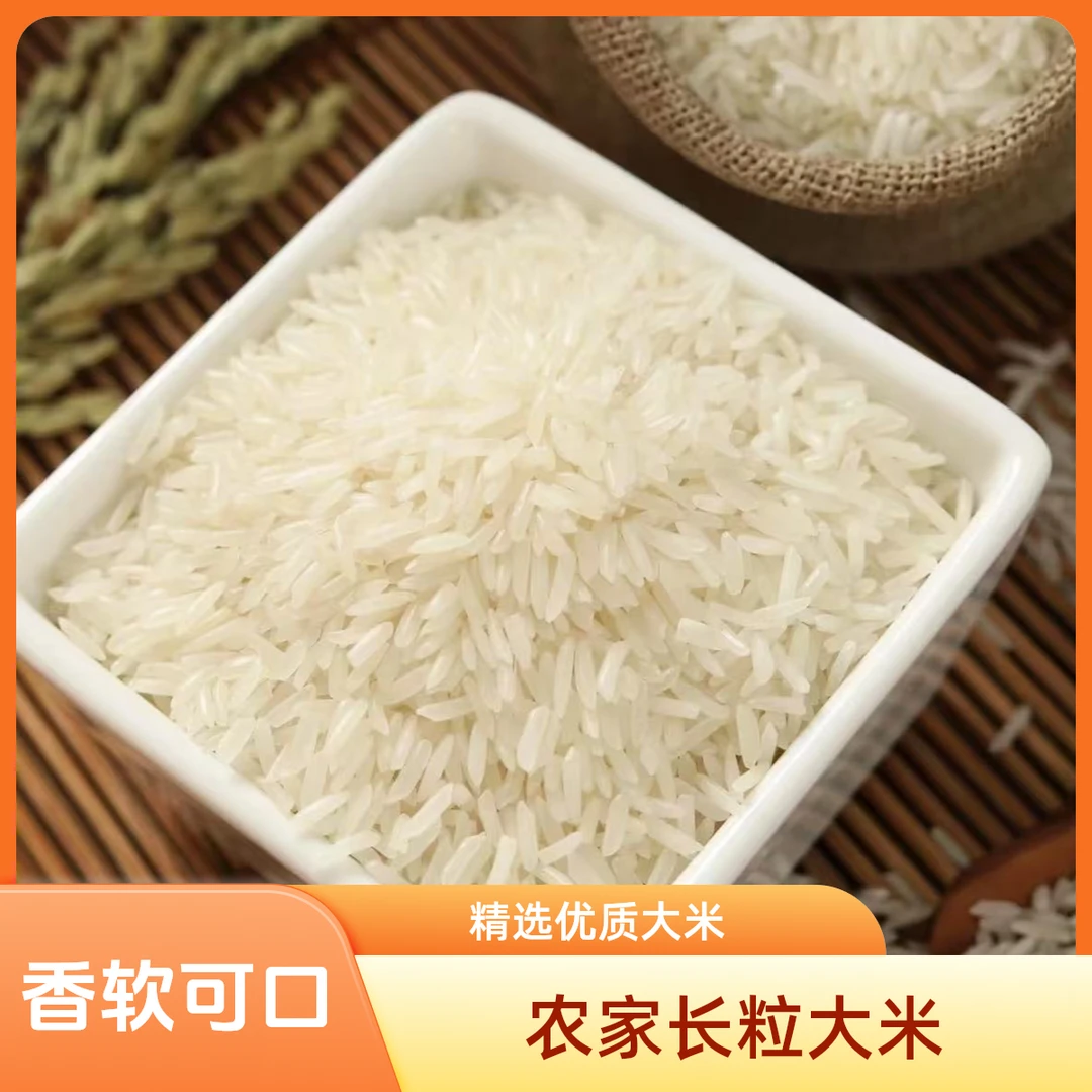 【产地直发】农家长粒香米新米长粒米一年一季晚稻新米大米农家大米