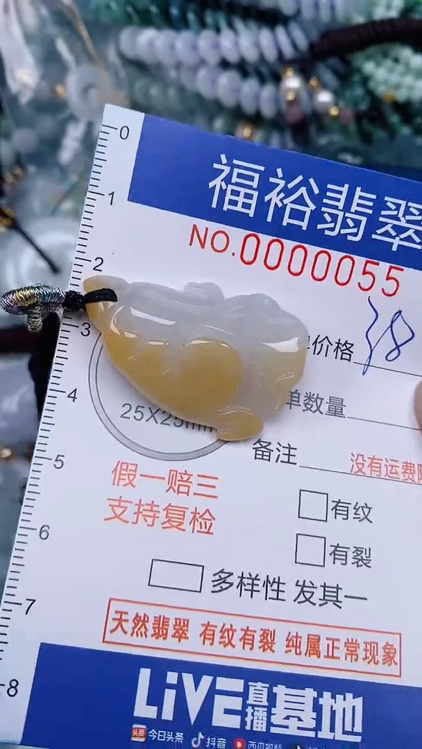 翡翠未镶嵌颈饰...0000055