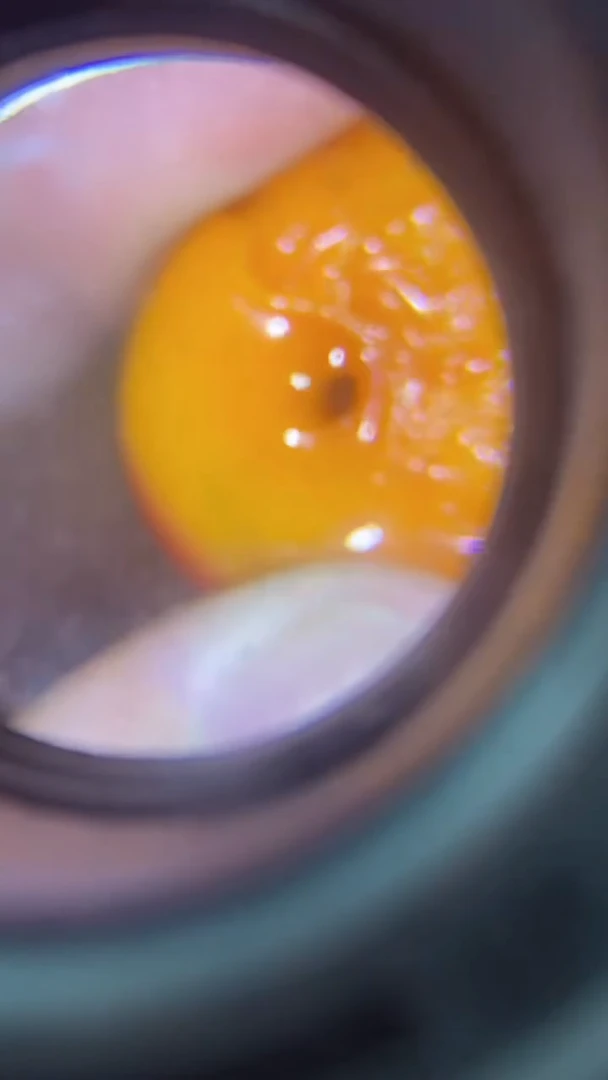 【闪购商品】瓷片闪购商品，如图所示