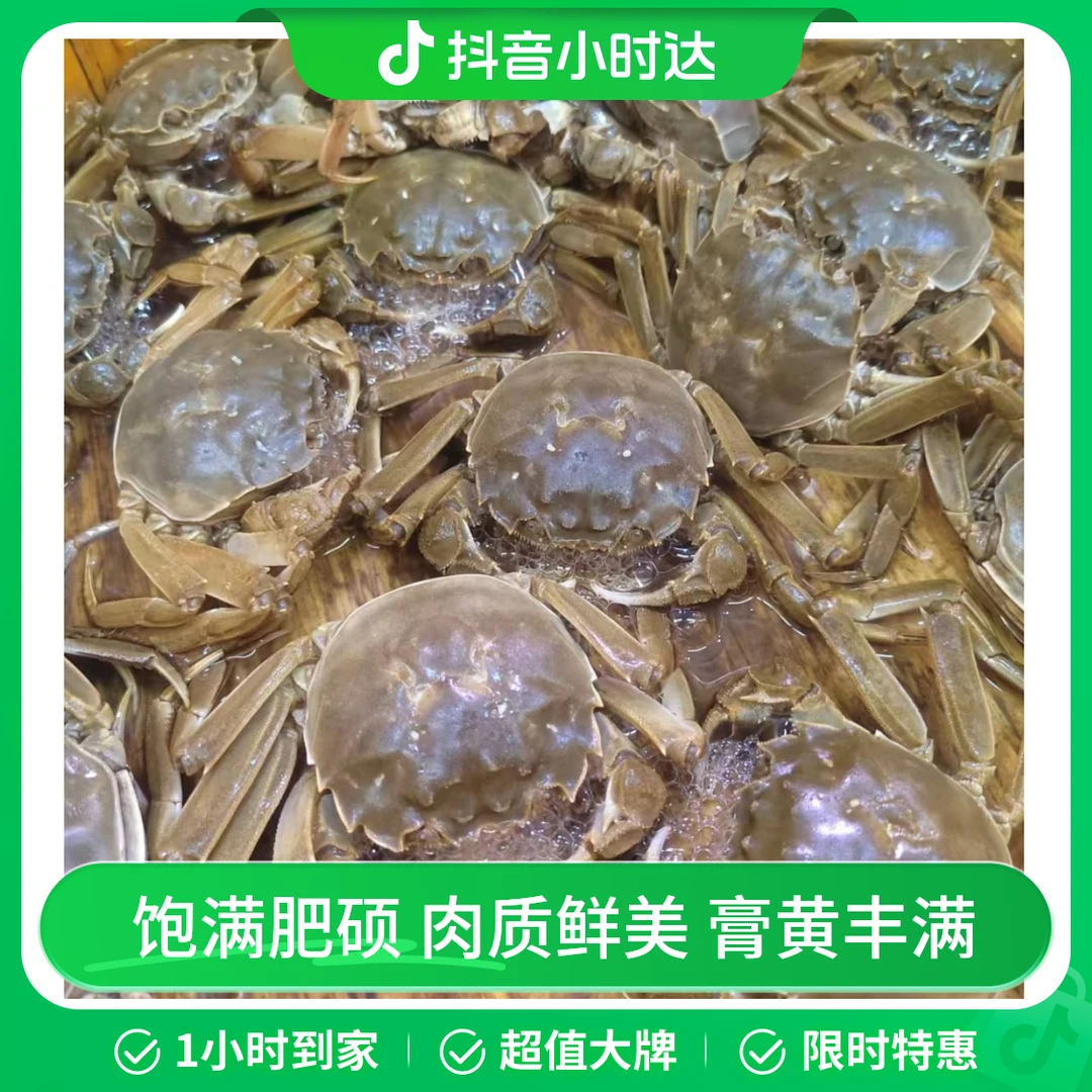 公河蟹约1000g/份【保活】一斤10只左右