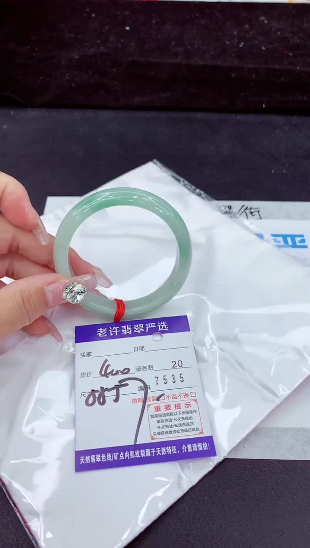 未镶嵌手镯翡翠1