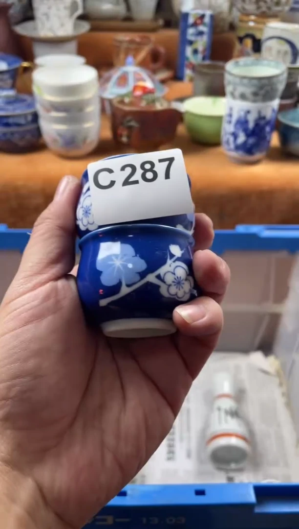 【闪购商品】C287
