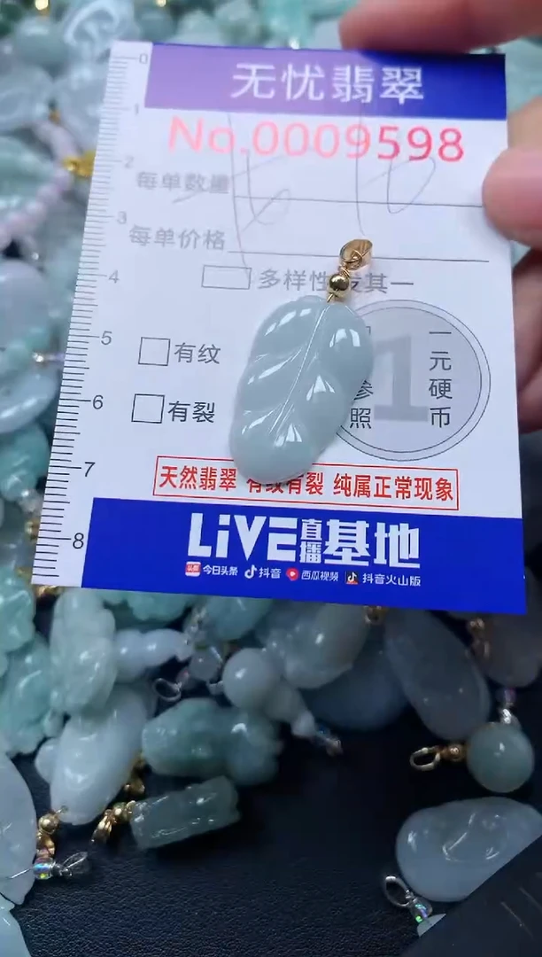颈饰未镶嵌翡翠9598