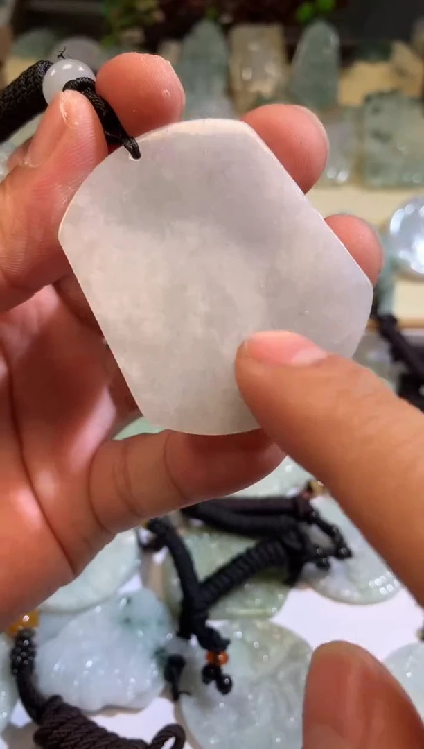 翡翠未镶嵌颈饰4/17/055多样性发其一