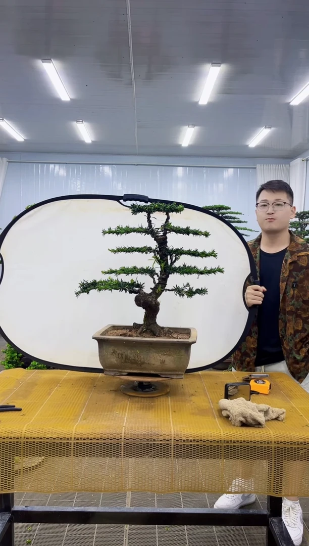完全开放一物一拍，所见即所得