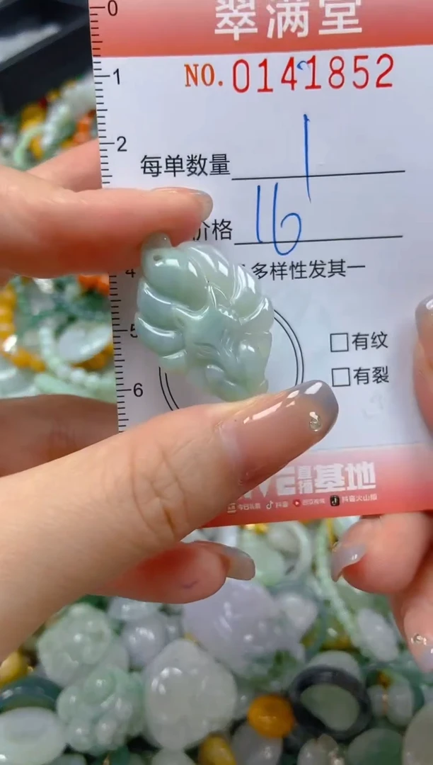 翡翠未镶嵌颈饰闪购0141852