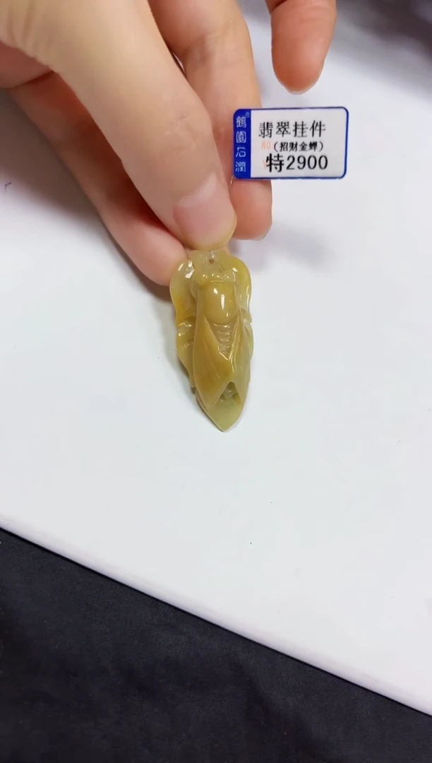 【闪购商品】翡翠颈饰未镶嵌挂件