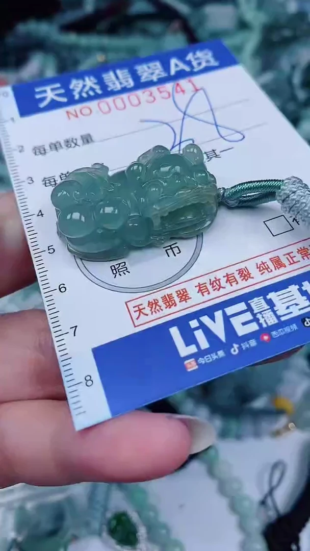 翡翠未镶嵌颈饰00003541