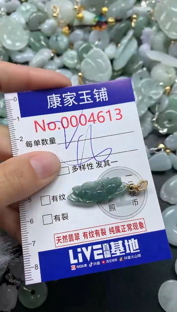 颈饰未镶嵌翡翠4613