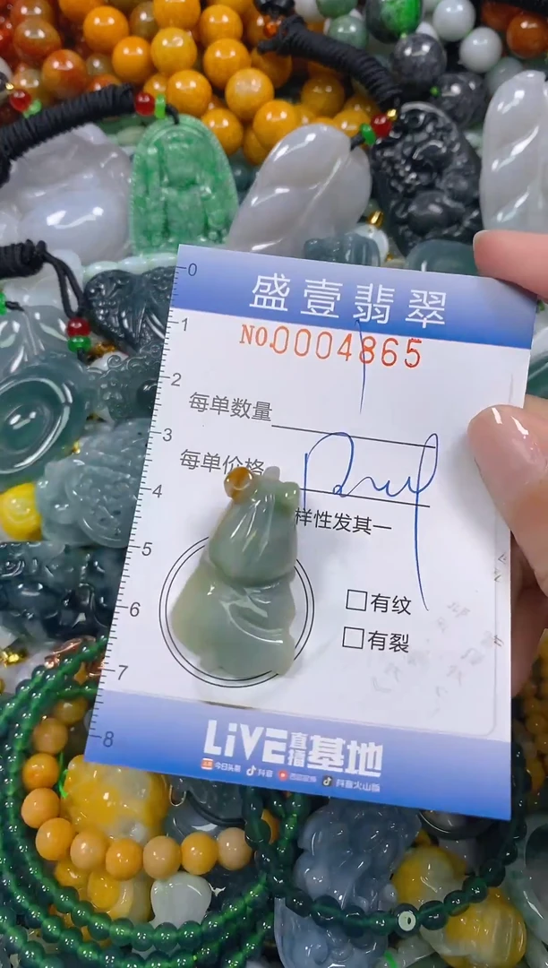 颈饰未镶嵌翡翠闪购0004865