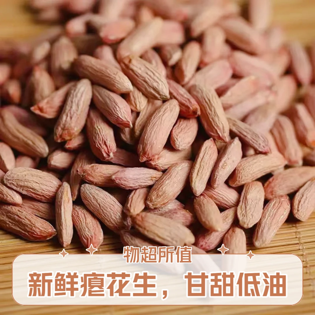 2025当季新货生瘪花生山东特产甘甜花生农家低油高饱腹秕子手工选