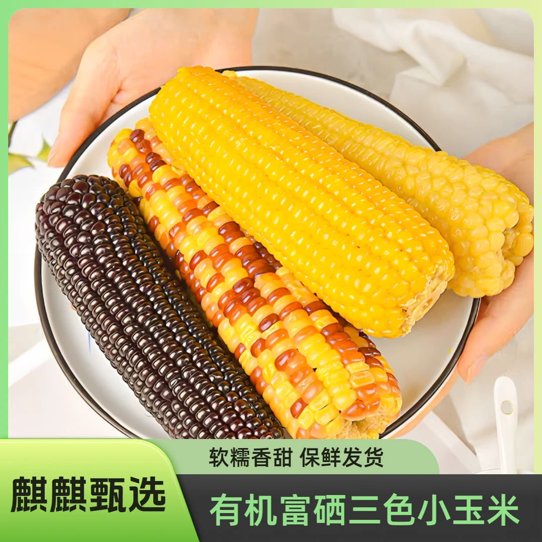 【新疆】有机富硒三色小玉米真空包装12穗（3穗*4袋）