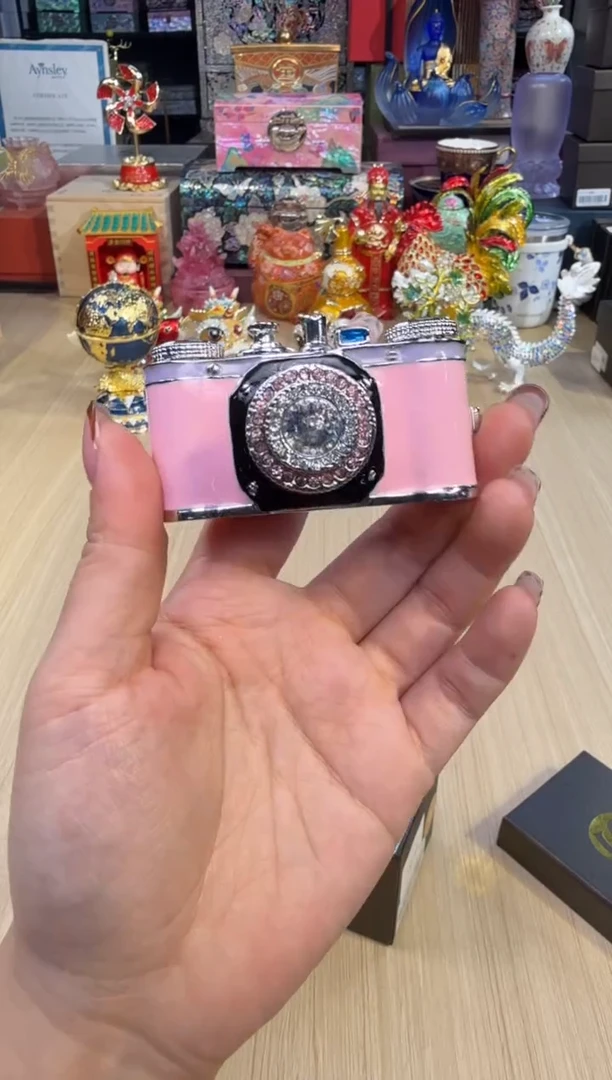 55七宝粉色照相机
