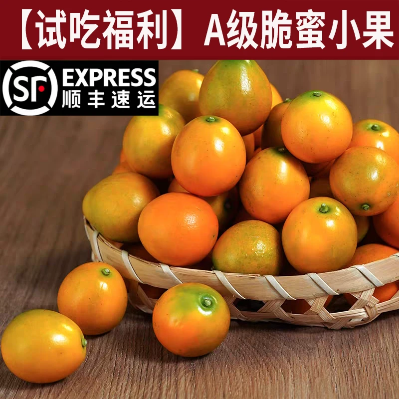 融安金桔脆蜜金桔小果【小糖炮】【小小颗】