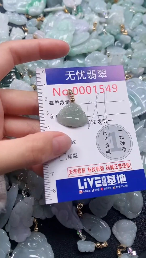 颈饰未镶嵌翡翠1549