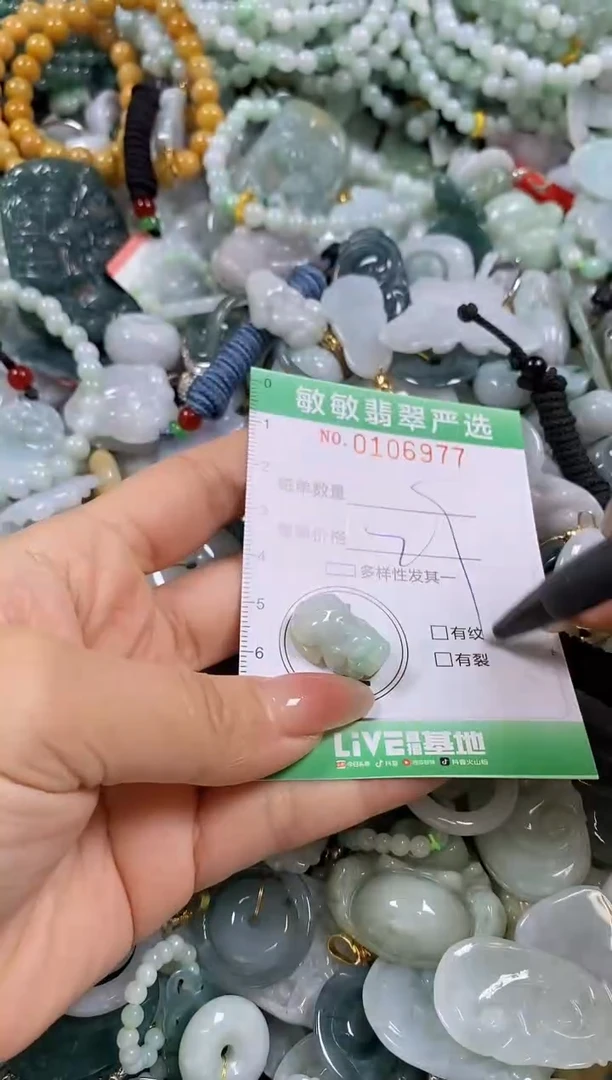 【闪购商品】翡翠颈饰未镶嵌闪购0106977