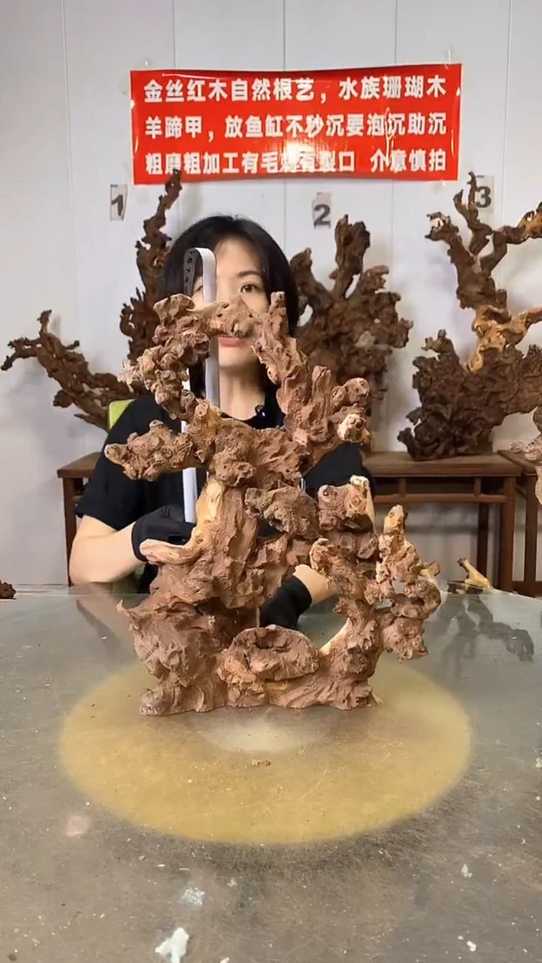 香榧木放**我金丝红木   羊蹄甲