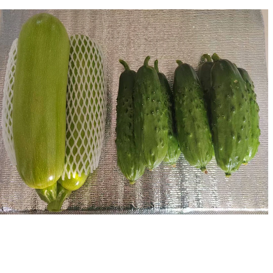 角瓜和旱黄瓜组合