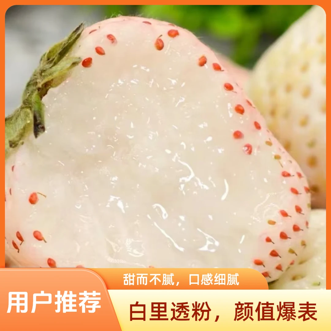 【专属福利】粉玉白草莓 软糯香甜 毛重2斤 京东包邮粉玉中国大陆