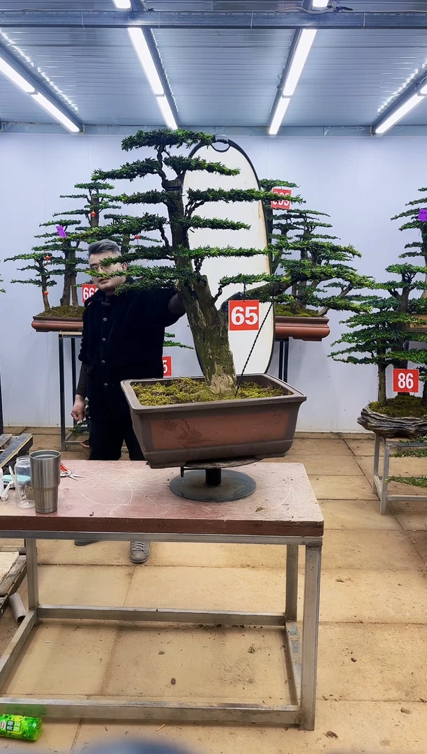【闪购商品】0一物一拍，所见即所得