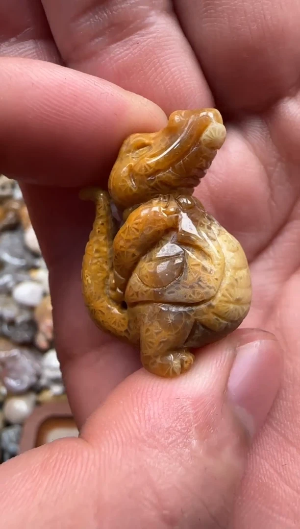 【闪购商品】硅化珊瑚（珊瑚玉）颈饰未镶嵌048