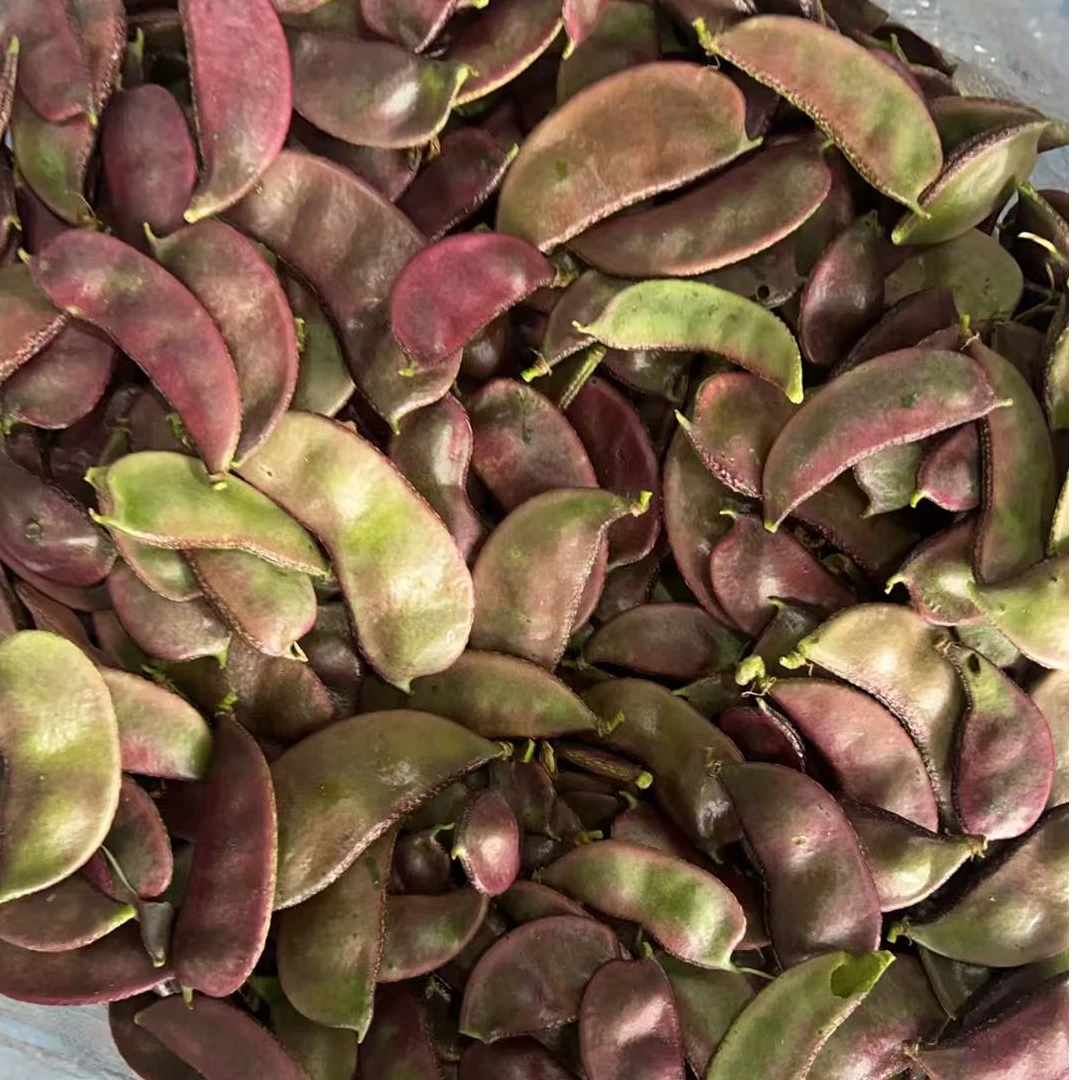 【顺丰】农家新鲜蔬菜红扁豆