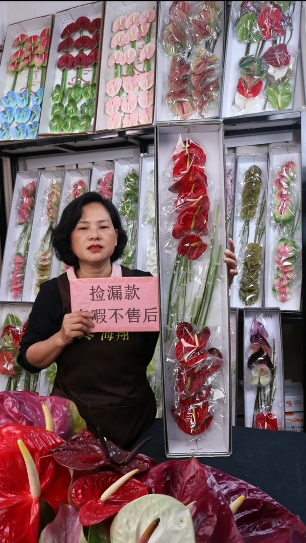 完全开放红掌15枝(枝长25-30cm横冠幅7-10cm)福利微瑕无售后