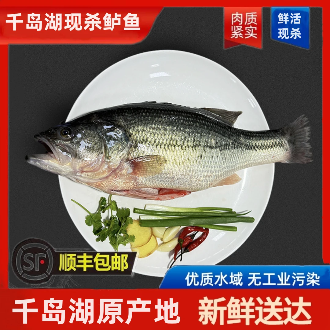 【现杀包鲜到家】LX千岛湖生态淡水鲈鱼尝鲜装 现捕捞现发多规格 顺丰/京东快递送货上门