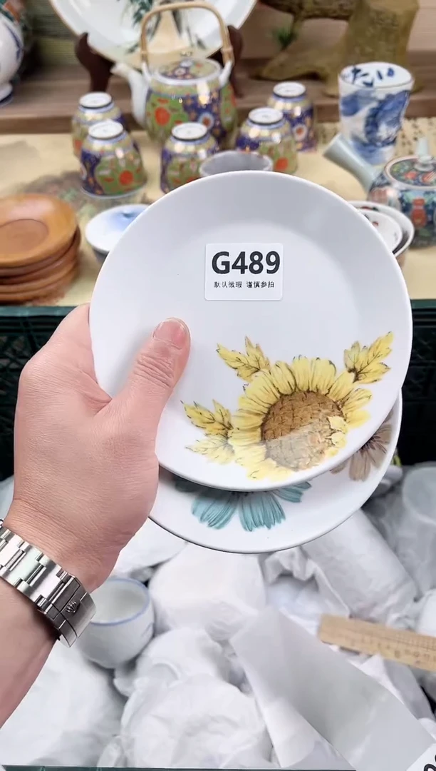 瓷片小*蛋489
