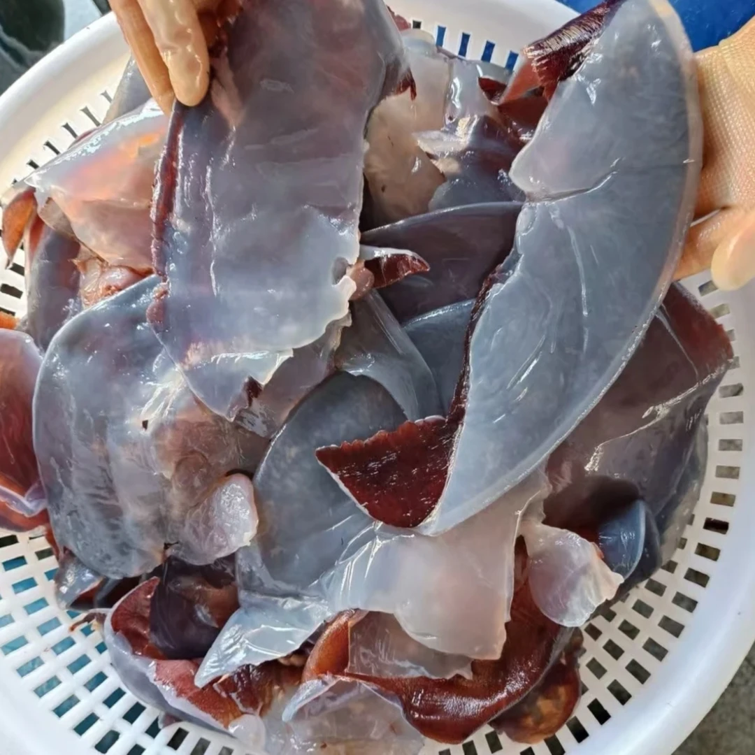 3斤碎皮水皮渤海湾海蜇皮正宗黄红白太阳绵哲皮（红白皮）
